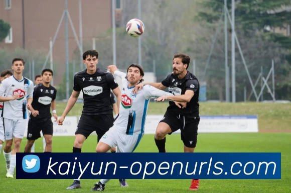 开云平台生态图